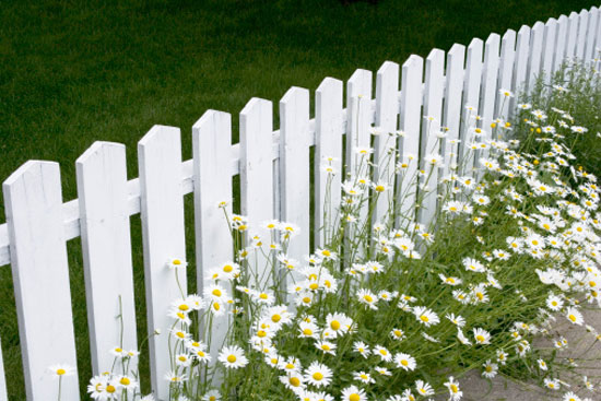 Geometrics fence