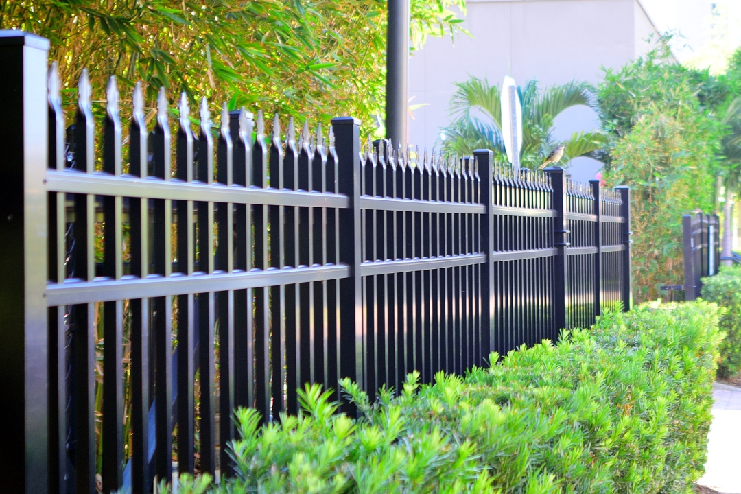 aluminium vs. wrought iron fencing which is the better investment
